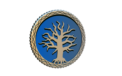 Frosthaven Challenge Coin