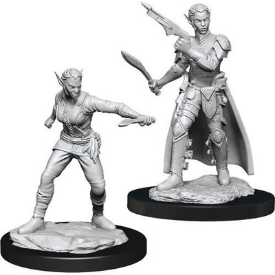 Dungeons &amp; Dragons Nolzur`s Marvelous Unpainted Miniatures: W13 Shifter Rogue Female