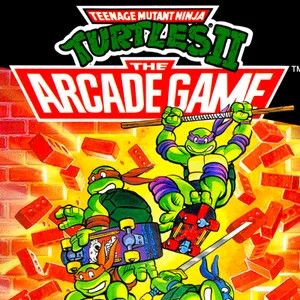 Teenage Mutant Ninja Turtles II Loose