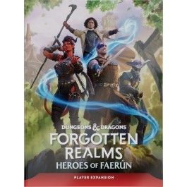 Dungeons &amp; Dragons: Forgotten Realms Heroes of Faerun