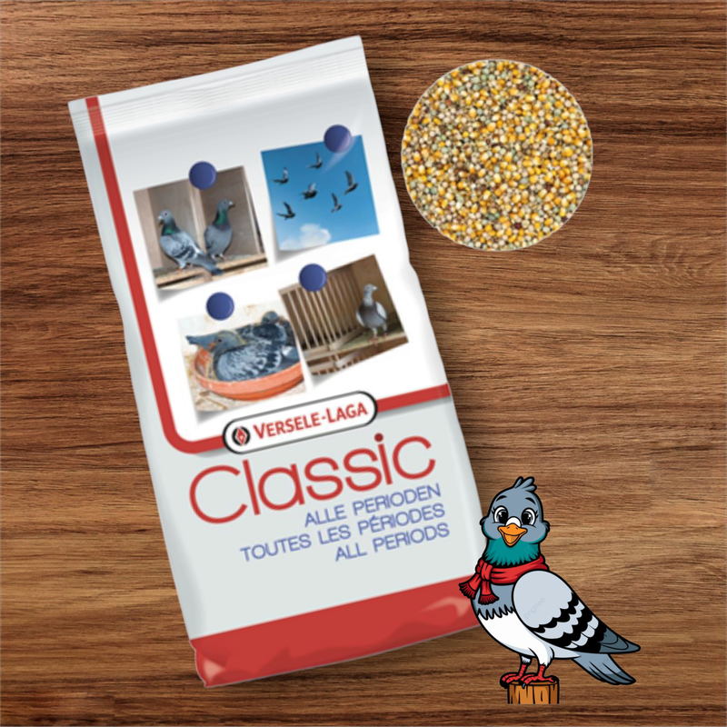 Classic - 4 seizoenen