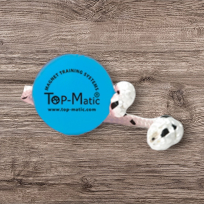 Top Matic - Fun Ball Soft