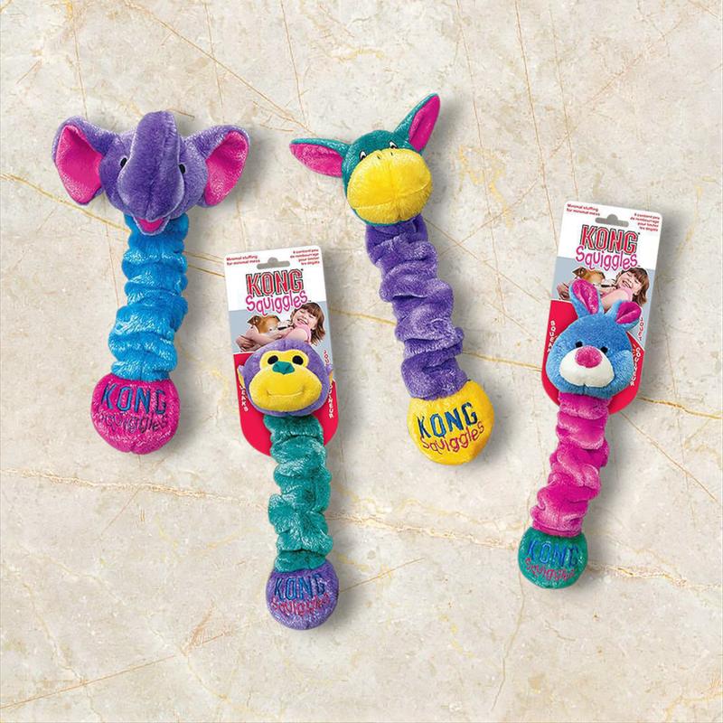 Kong - Squiggles Medium