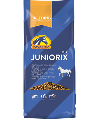Breeding - Juniorix
