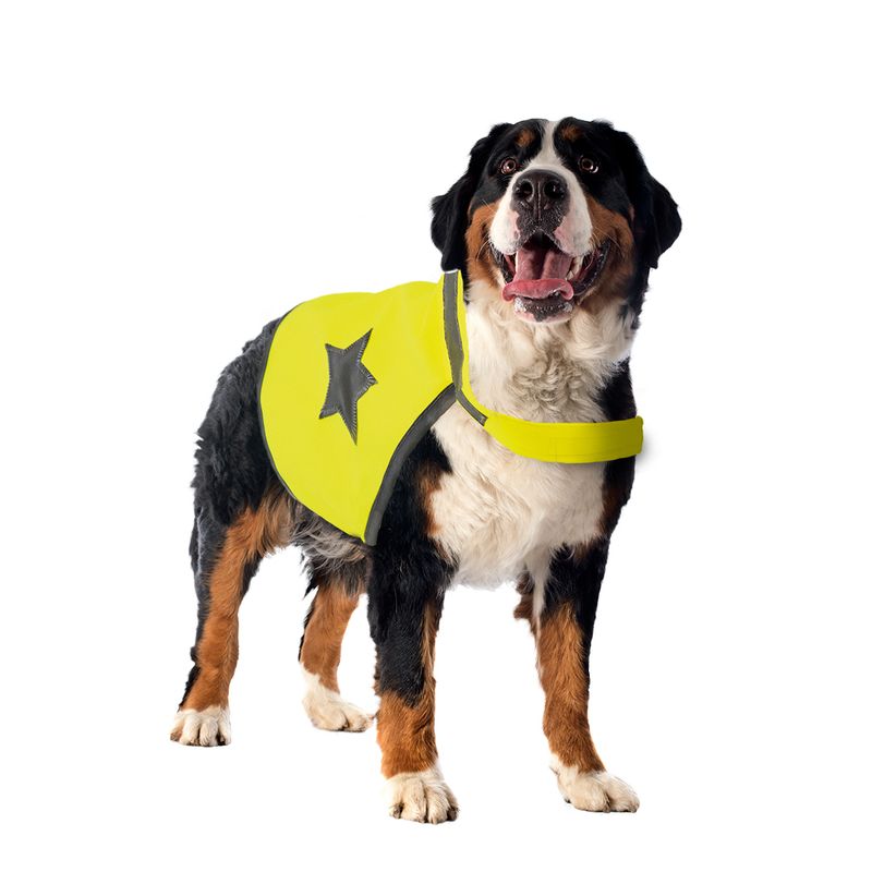Duvo - Veiligheidsjasje Fluo XL 64 cm