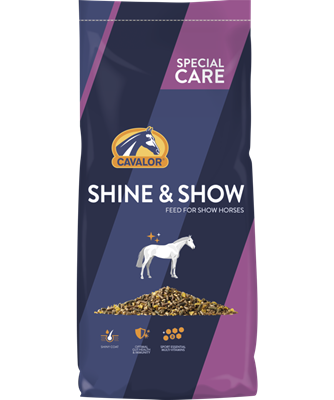 Special Care - Shine &amp; Show