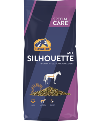 Special Care - Silhouette