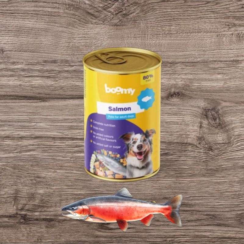 Boomy - Blikvoeding Zalm 400g