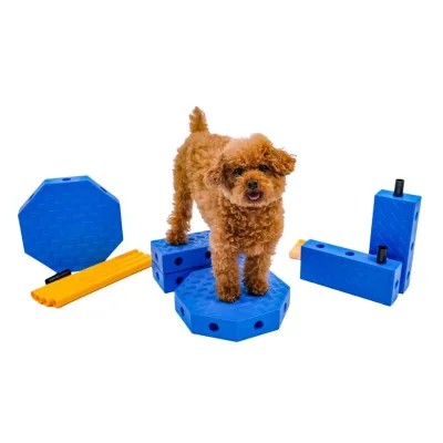 Fitpaws - FitKinect Core Fitpaws - FitKinect Core