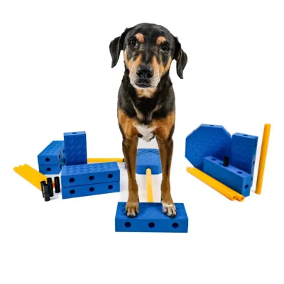 Fitpaws - FitKinect Xtra Fitpaws - FitKinect Xtra