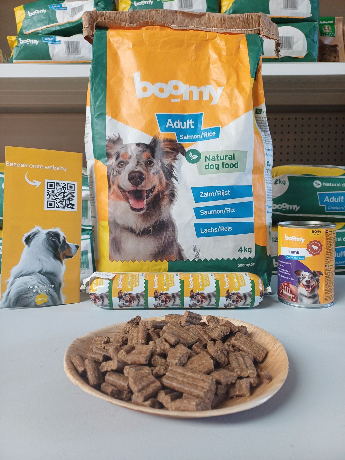 Starterspakket - Boomy: Adult Zalm/Rijst