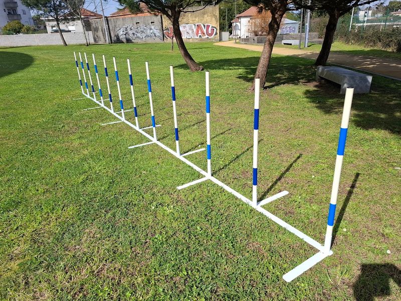 Slalom