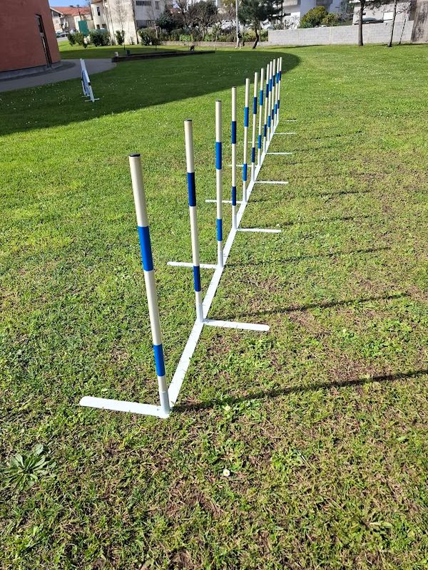 Slalom