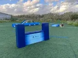 Soft Wall FCI