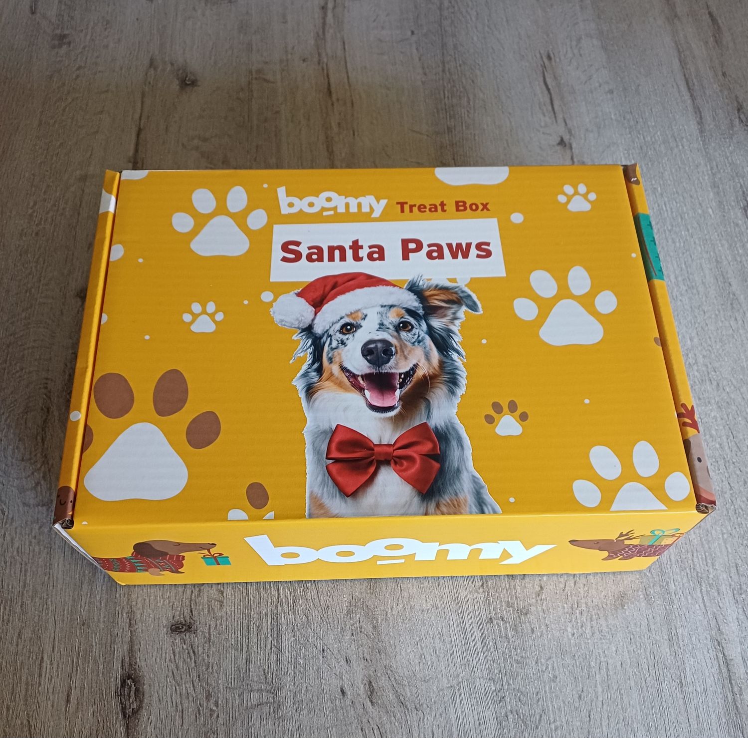 Kerspakket Santa Paws