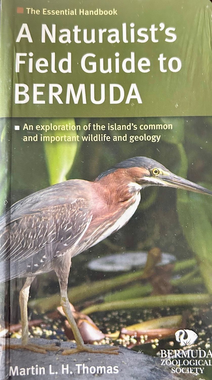 A Naturalist Field Guide to Bermuda