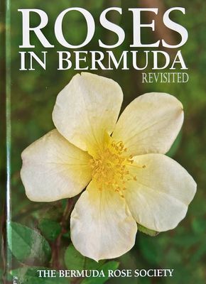 Roses in Bermuda (hard)
