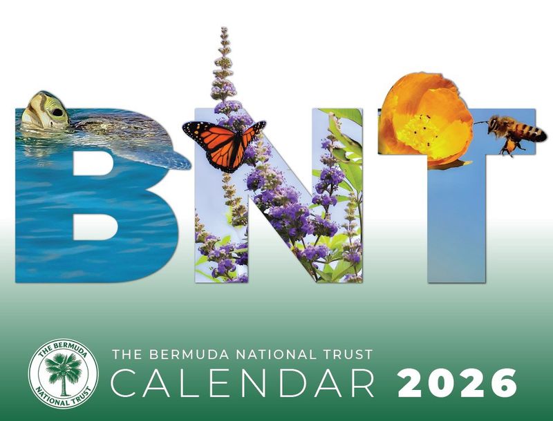 Calendar 2026