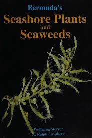 Bermuda's Seashore Plants &amp; Seaweeds