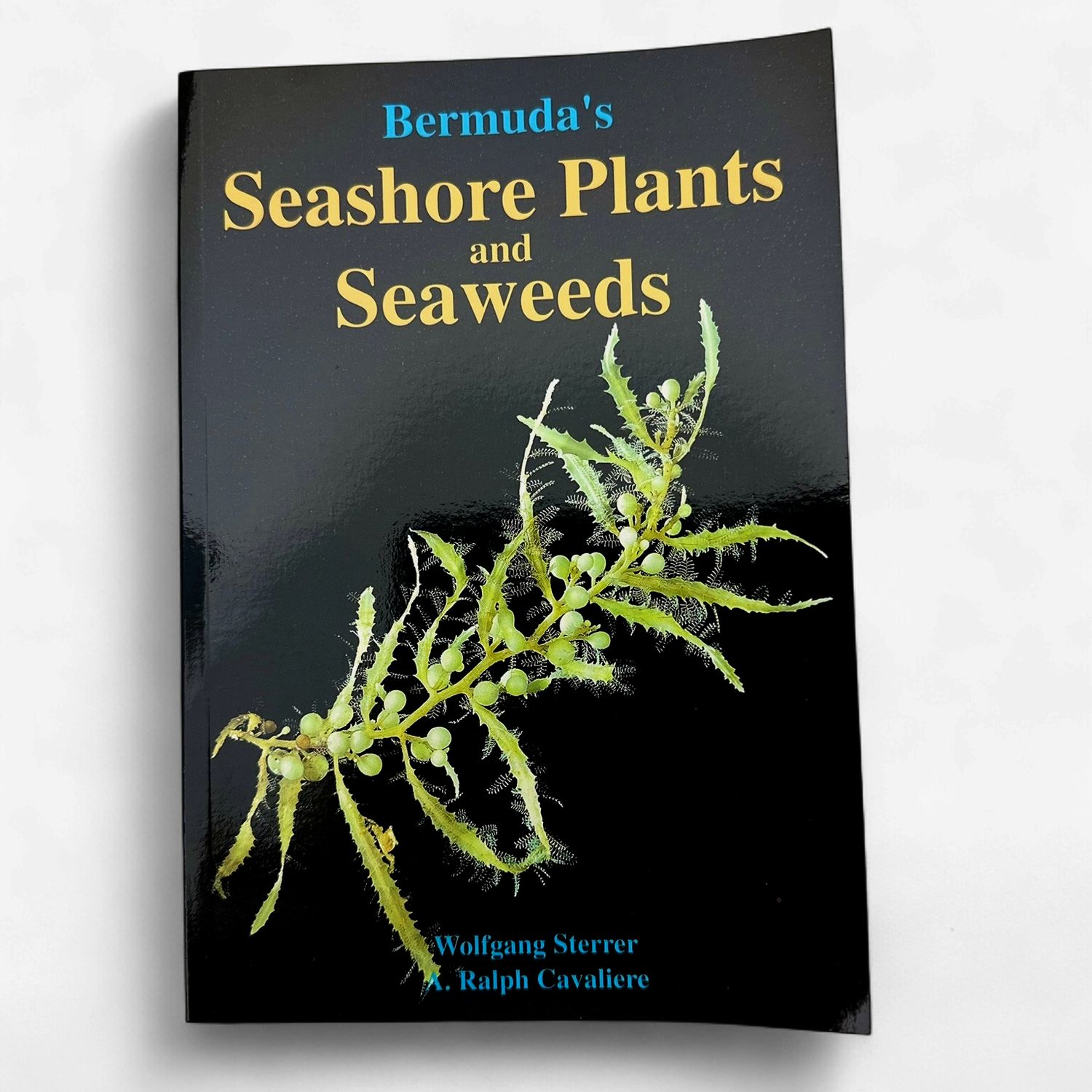 Bermuda's Seashore Plants &amp; Seaweeds