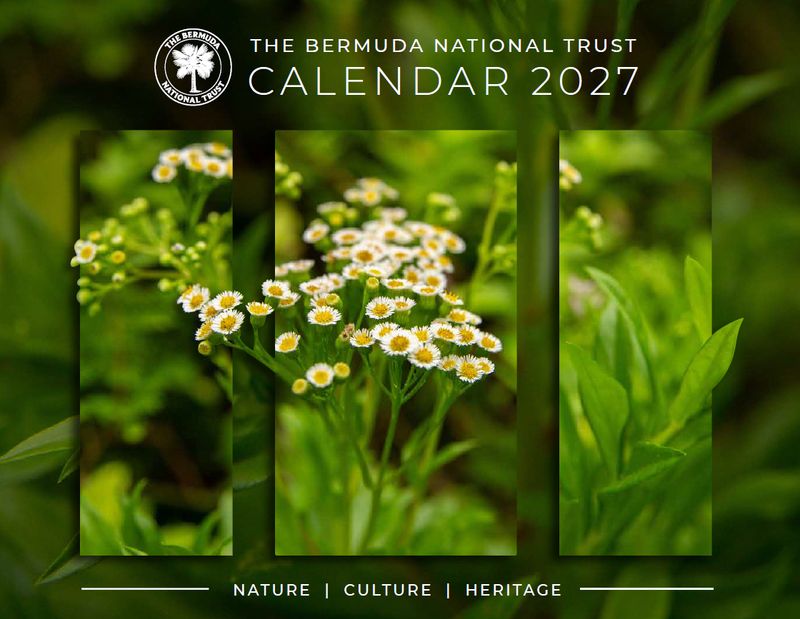 Calendar 2027