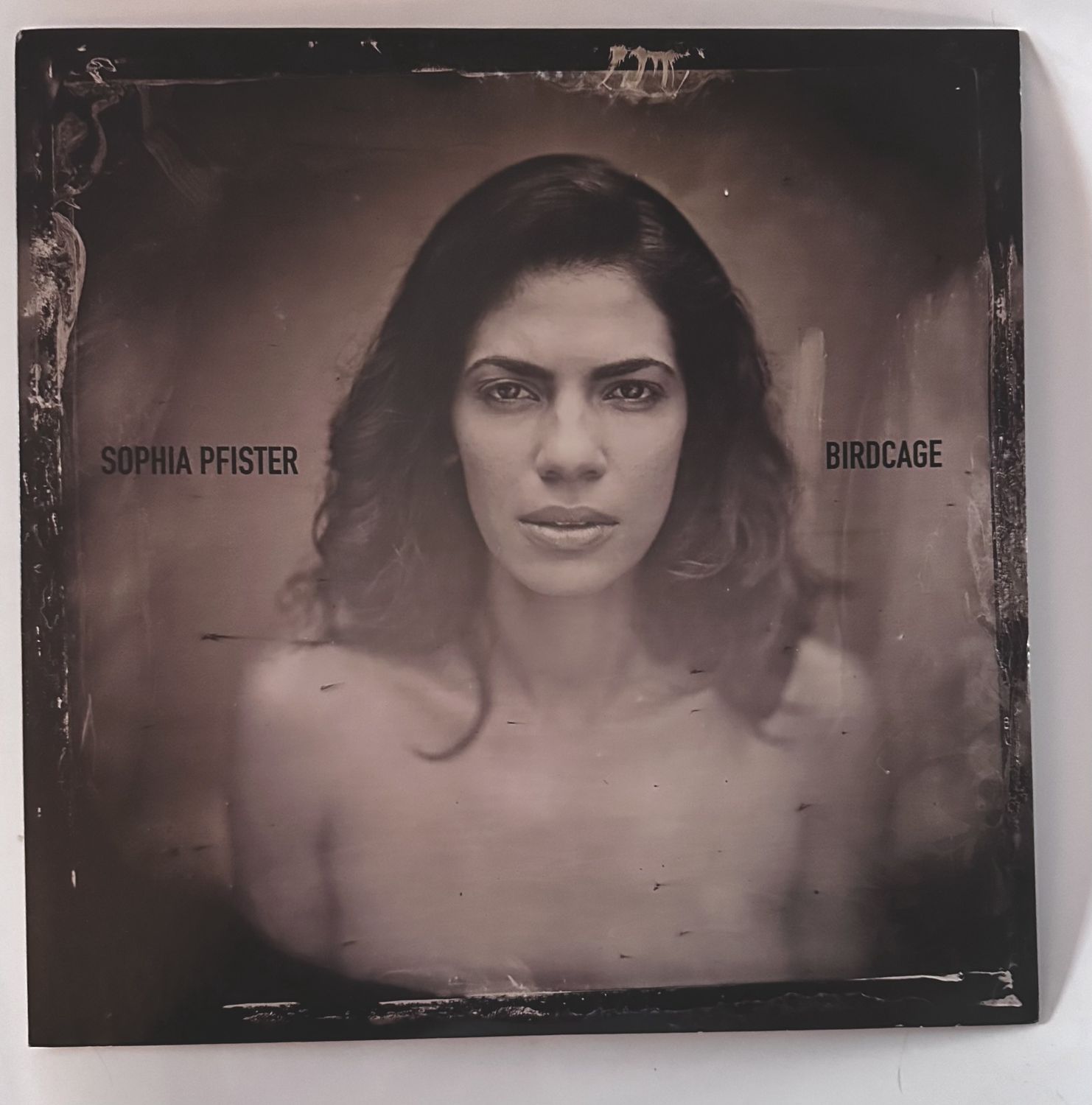 SOPHIA PFISTER - Birdcage