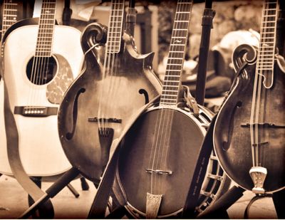 Folk / Folk Rock
