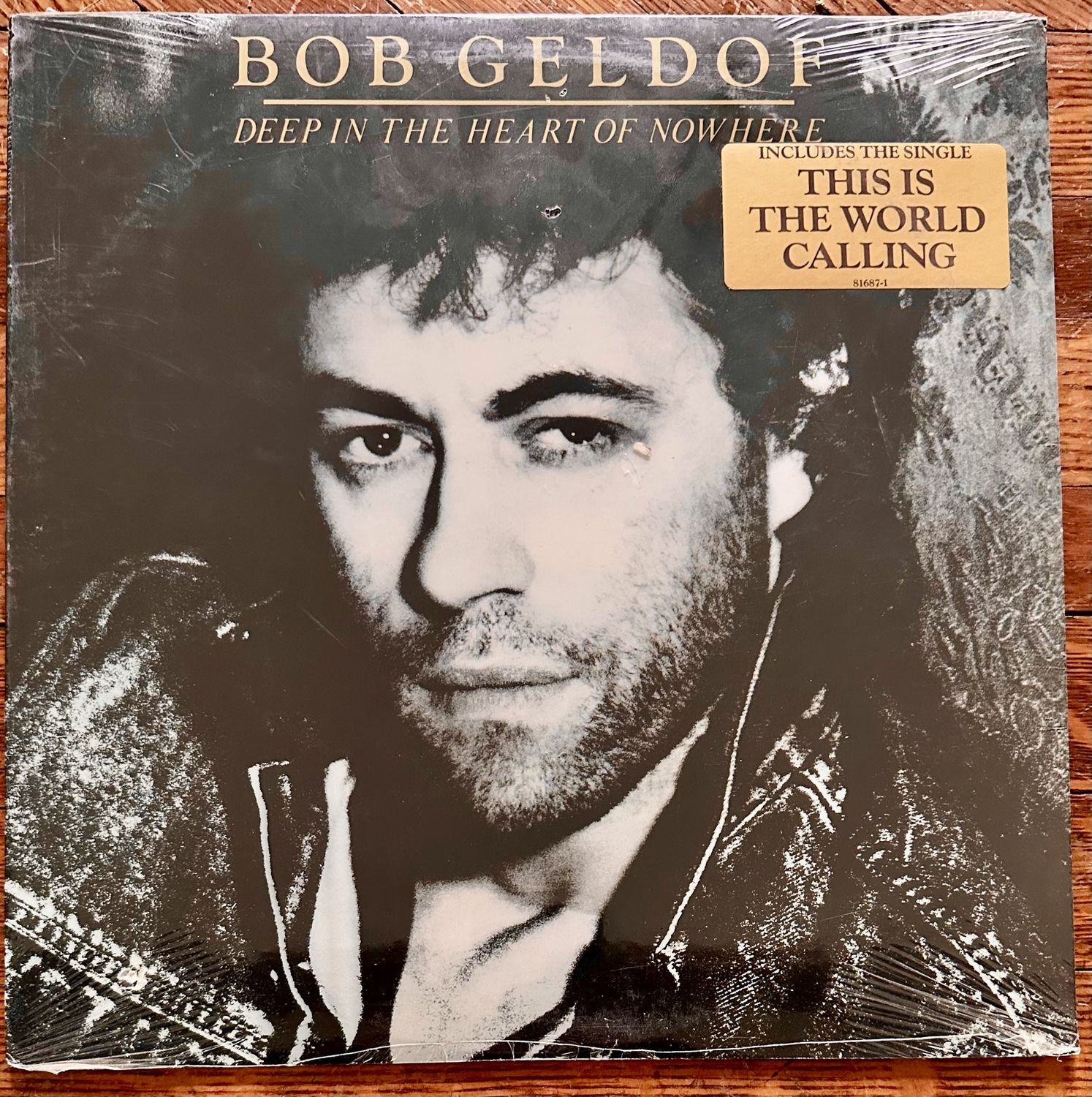 BOB GELDOF - Deep In The Heart Of Nowhere