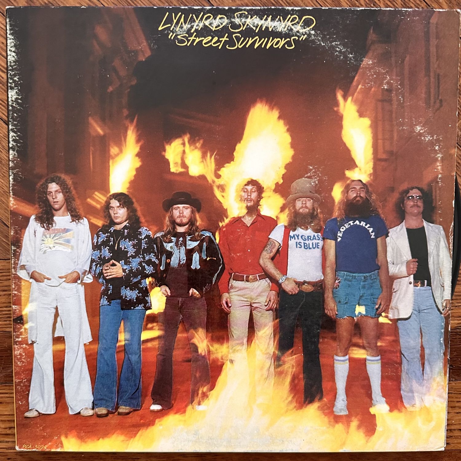 LYNYRD SKYNYRD - Street Survivors