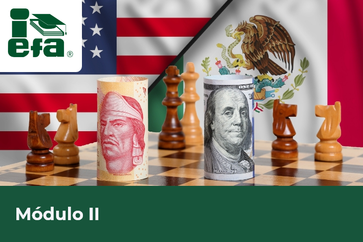 Diplomado en Impuestos entre México y EUA - Módulo II.- El Plan BEPS y las 15 acciones, la Convención Multilateral para implementar las medidas BEPS, y los acuerdos de intercambio de información