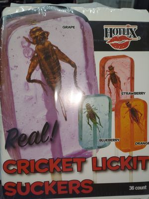 CRICKET SUCKERS