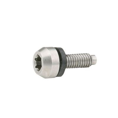 TaylorMade Adaptor Screw