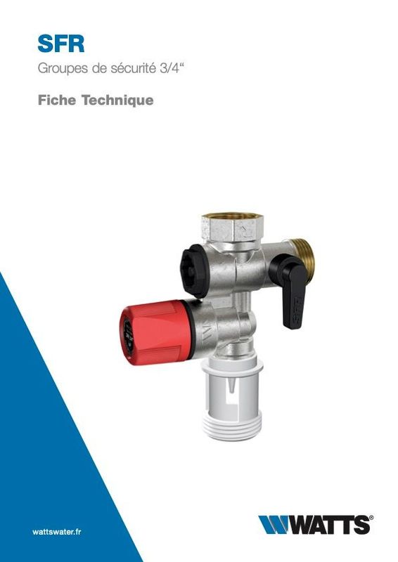 Groupe de sécurité droit SFR® 3/4”