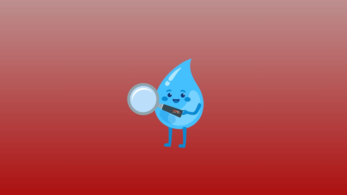 Recherche de fuite non destructive avec humidimetre (moins de 2 ans/entreprise)