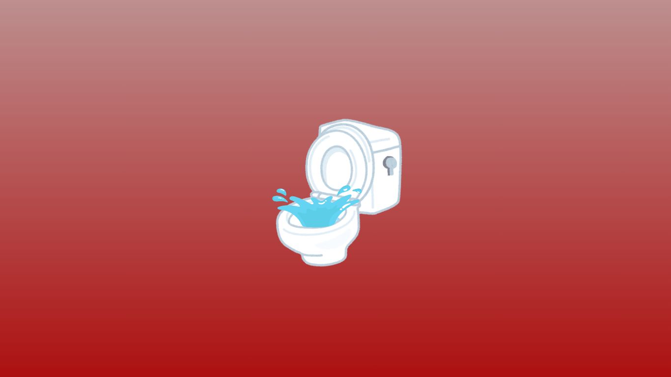 Débouchage d'un WC (plus de 2 ans)