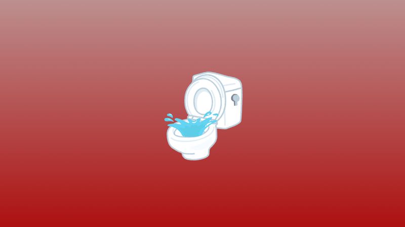 Débouchage d'un WC (plus de 2 ans)