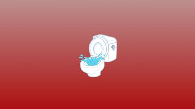 Débouchage d'un WC (moins de 2 ans/entreprise)