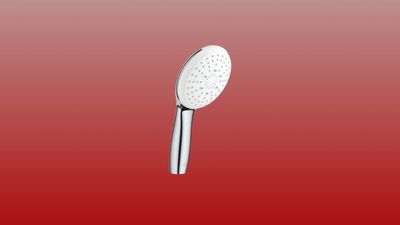 Pomme de douche