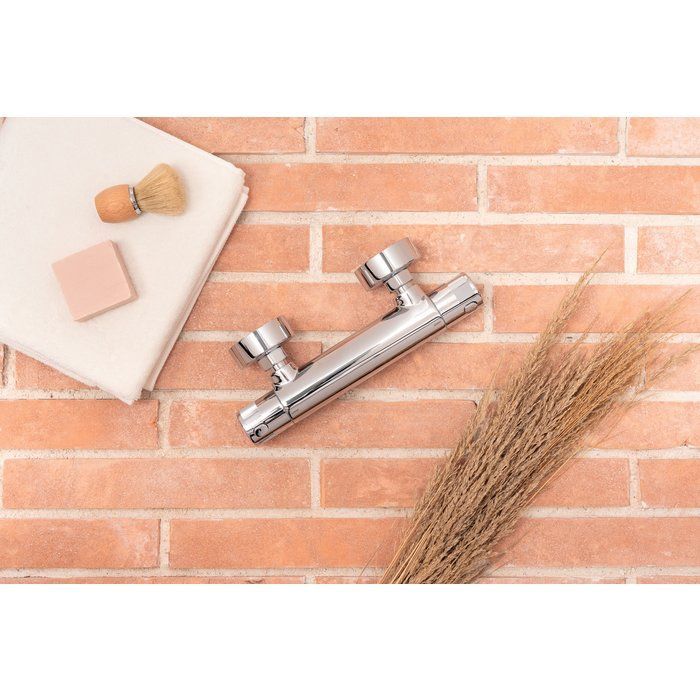 Mitigeur thermostatique de douche Ibaya SIDER