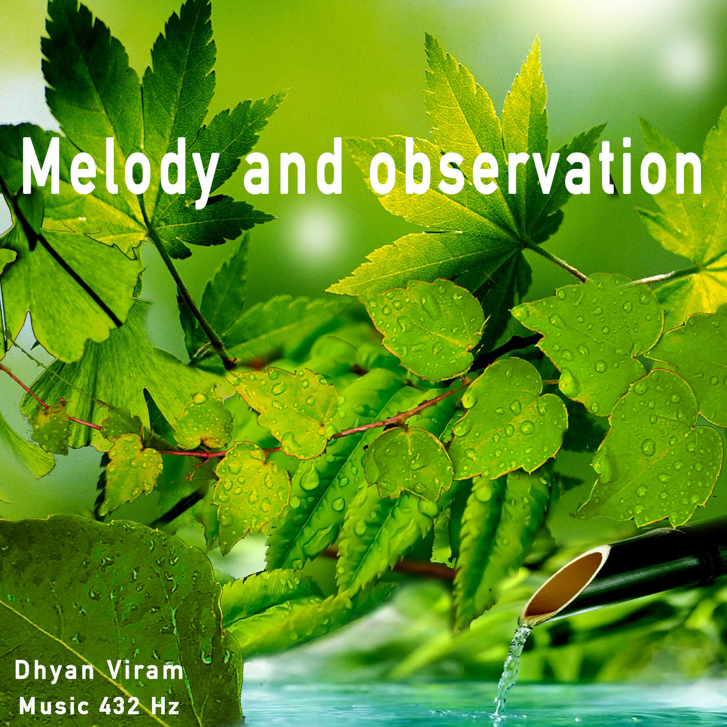 Melody and observation