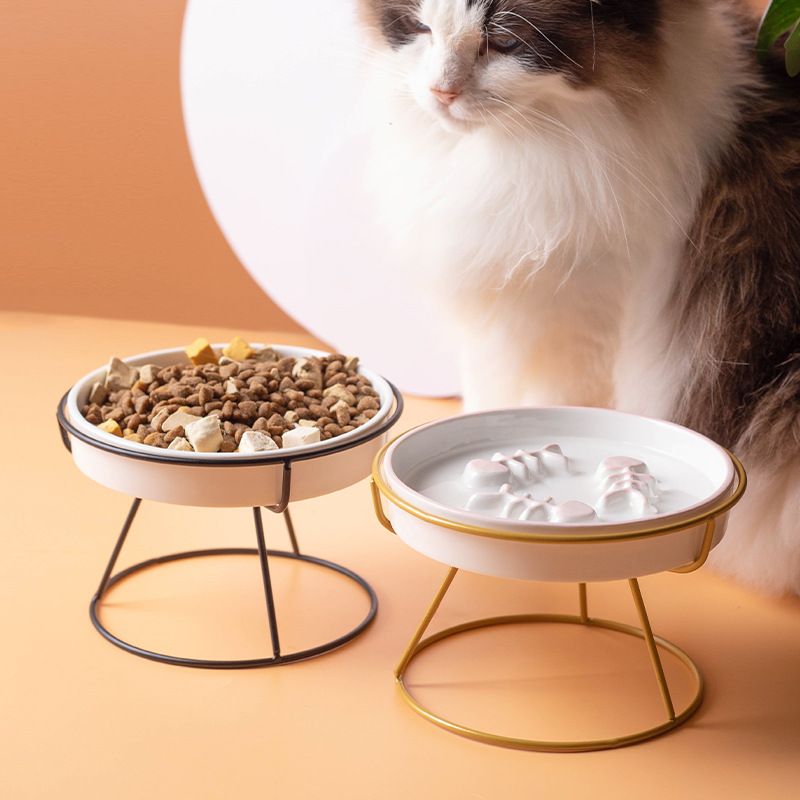 Ceramic Raised Pet Bowl Food Water Treats for Cats &amp;amp.Dogs Supplies Outdoor Feeding Drinking Accessories Doggie Cat Stand Bowl