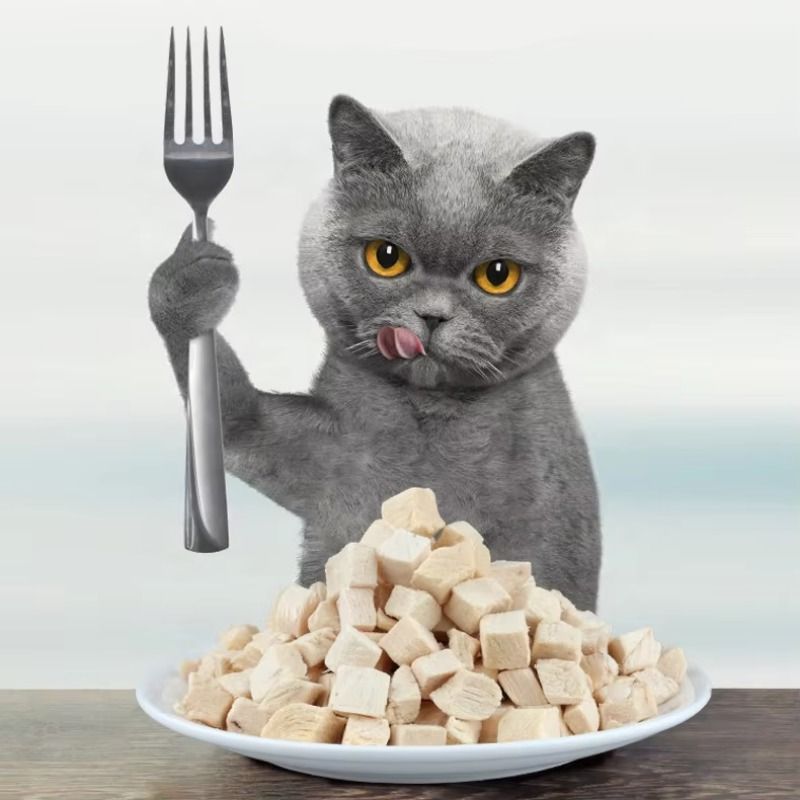 20/50g Cat Food Freeze-dried Chicken Cat Food of Dogs Freeze-dried Chicken Granules Rich in Nutrition Pet Dry Food Pet Supplies
