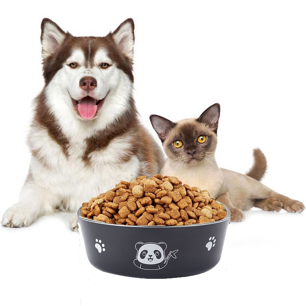 Pet Dog Bowls for Large and Small Dogs Cat Food Water Bowls with Non Slip Rubber Bottom Pet Feeding Bowl Double Wall Insulated