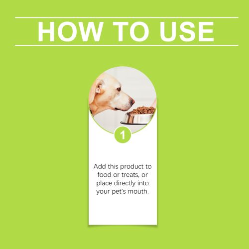 Yegbong Dog Care Drops  A Comprehensive Healthy Dietary Supplement To Enhance Nutrition And Rejuvenate Dogs