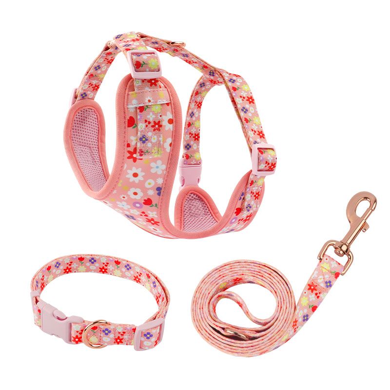 Small Pet Vest Collar Leash Set Lightweight Soft Summer Step-In Pattern Cute Dog Harness