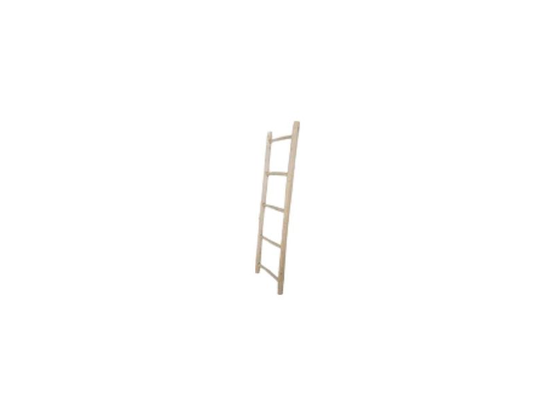 branch ladder