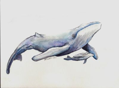 La Mer