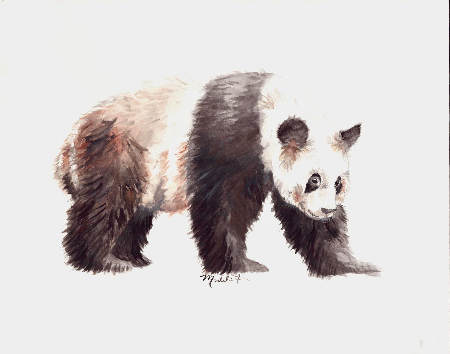 Broad-Shouldered Beasts