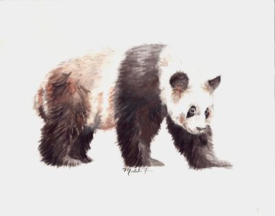 Broad-Shouldered Beasts
