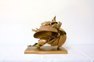 The Seabed Walker